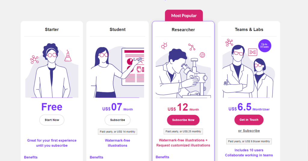 Pricing plans of Mindthegraph that are named after their user personas